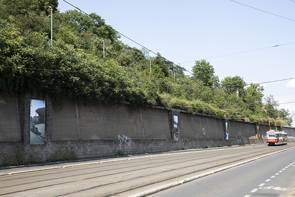 artwall6